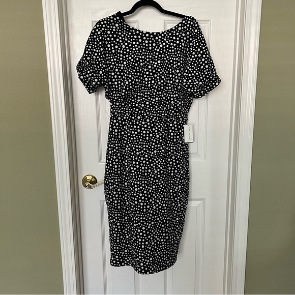 NWT Alexia Admor Black and White Polka Dot Dress - size SMALL - Picture 1 of 10